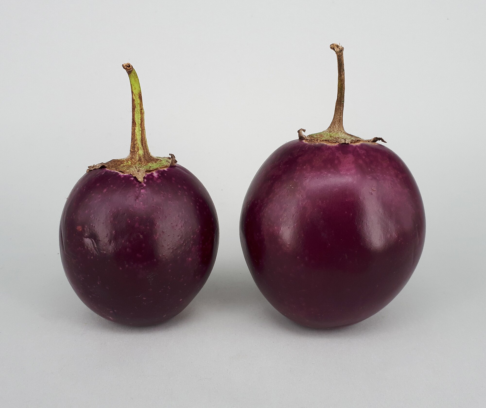 🍆INDIAN EGGPLANT🍆 x 15 organic seeds _3