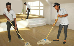 General Cleaning
