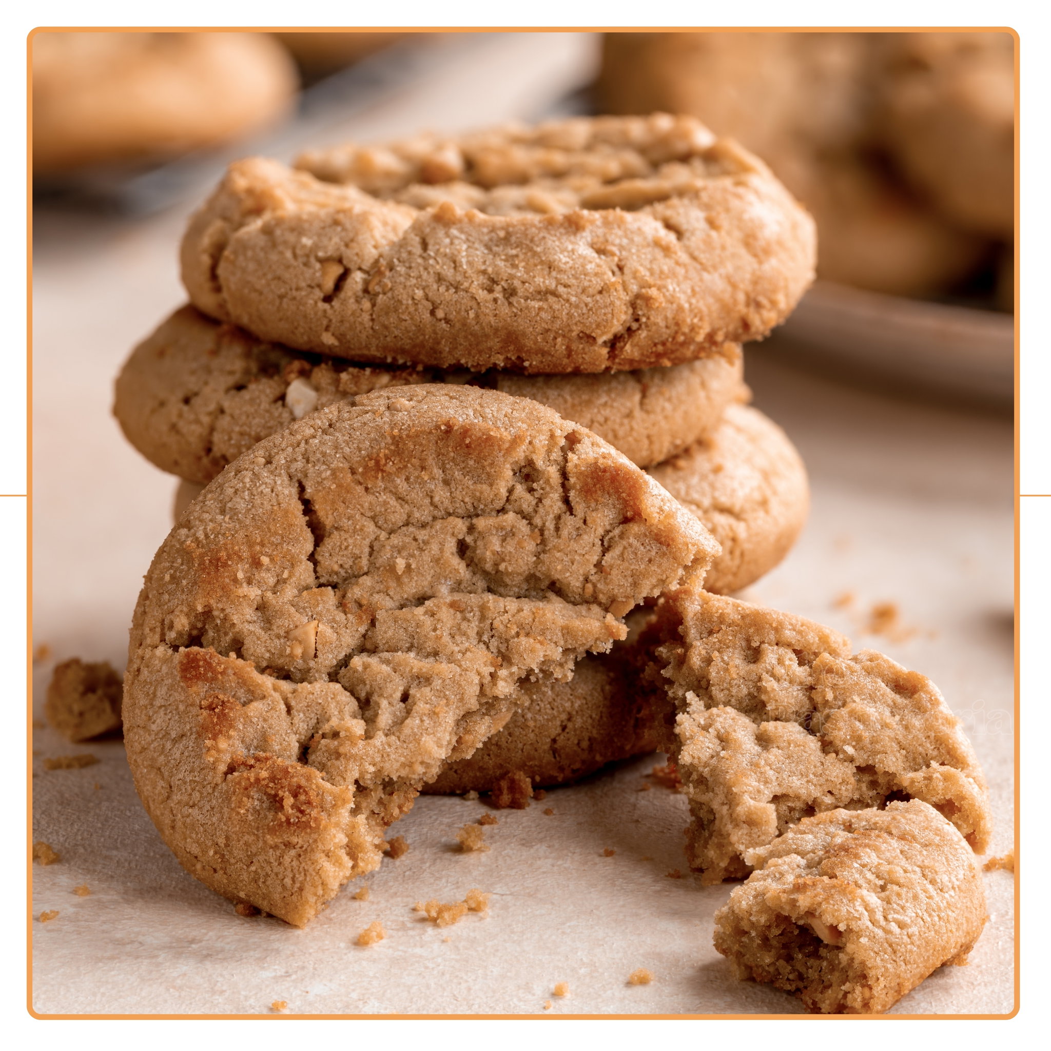 ThePasticceria - Classic  Cashew Butter Cookie_0