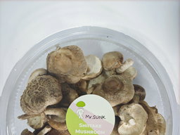 Shiitake Mushroom