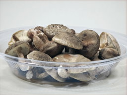 Shiitake Mushroom