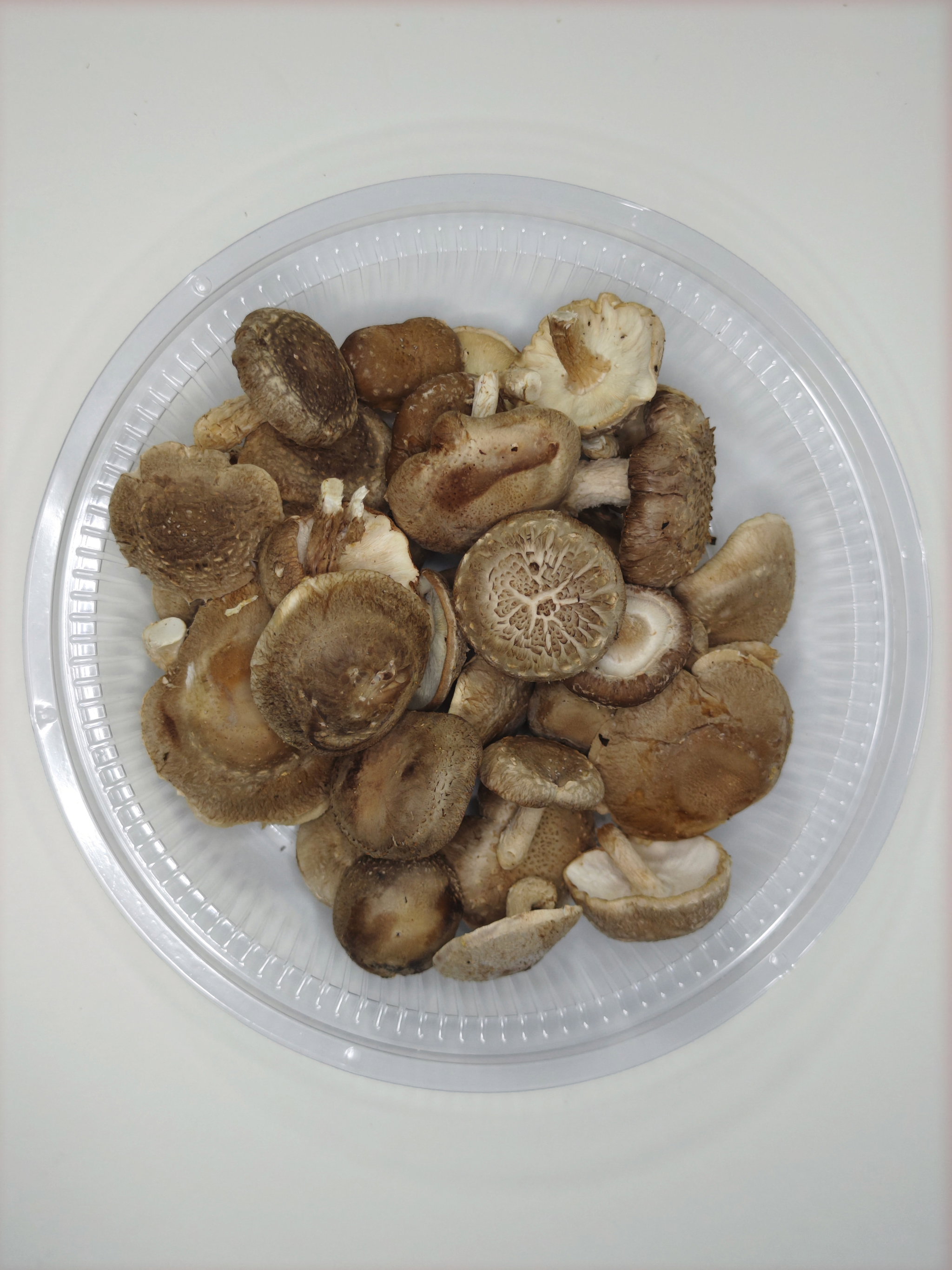 Shiitake Mushroom_4