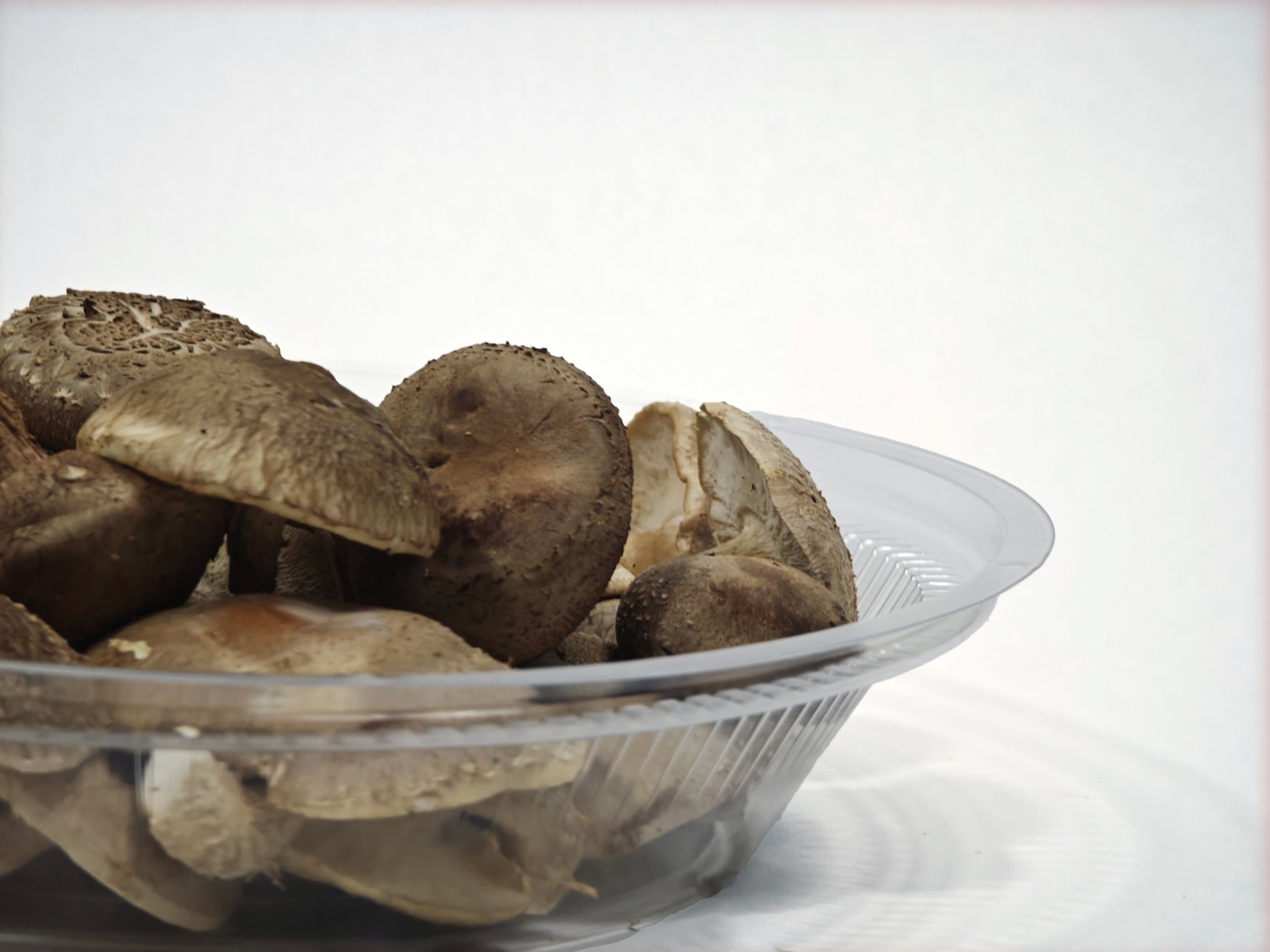 Shiitake Mushroom_3