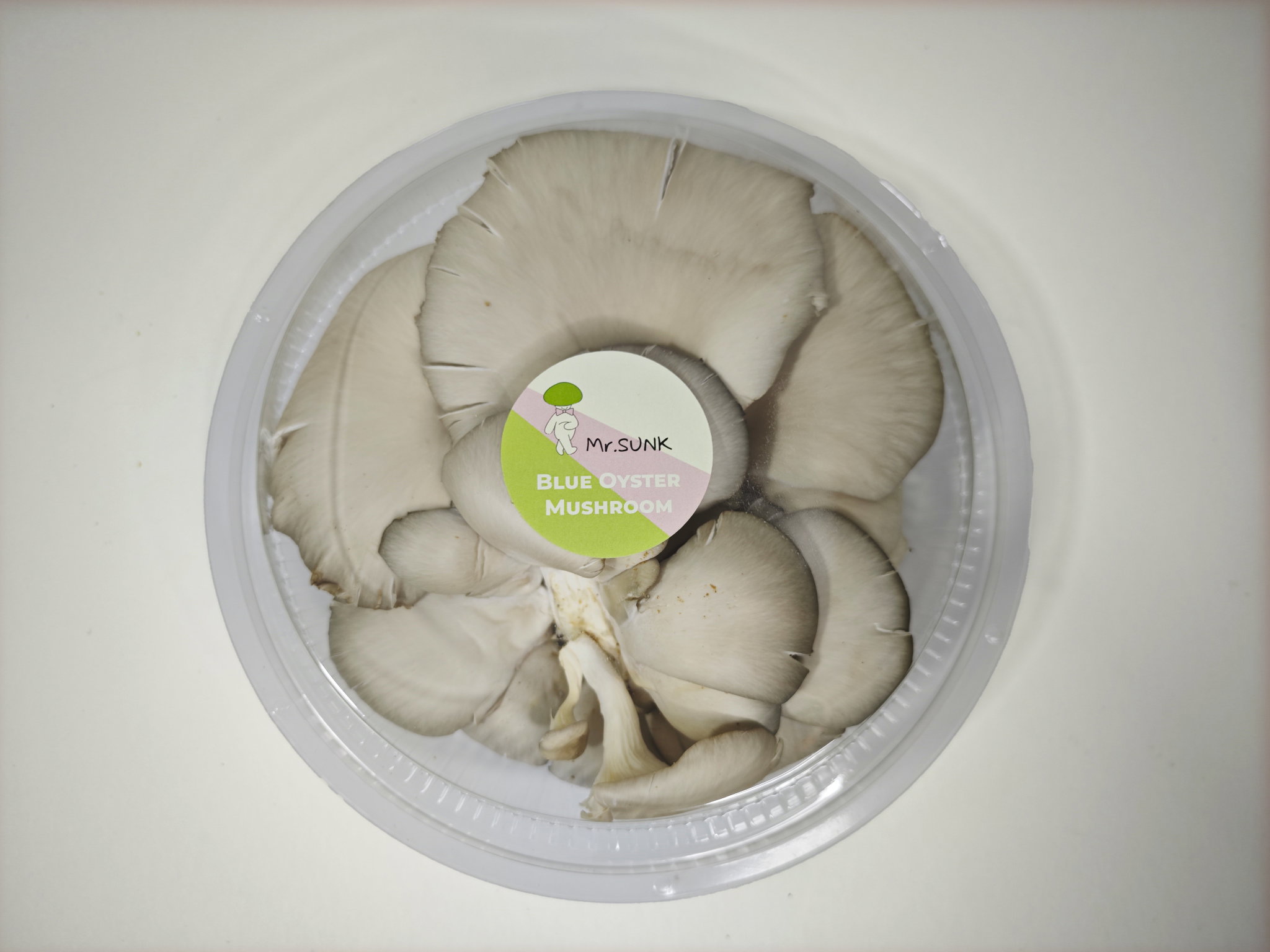 Blue Oyster Mushroom_0