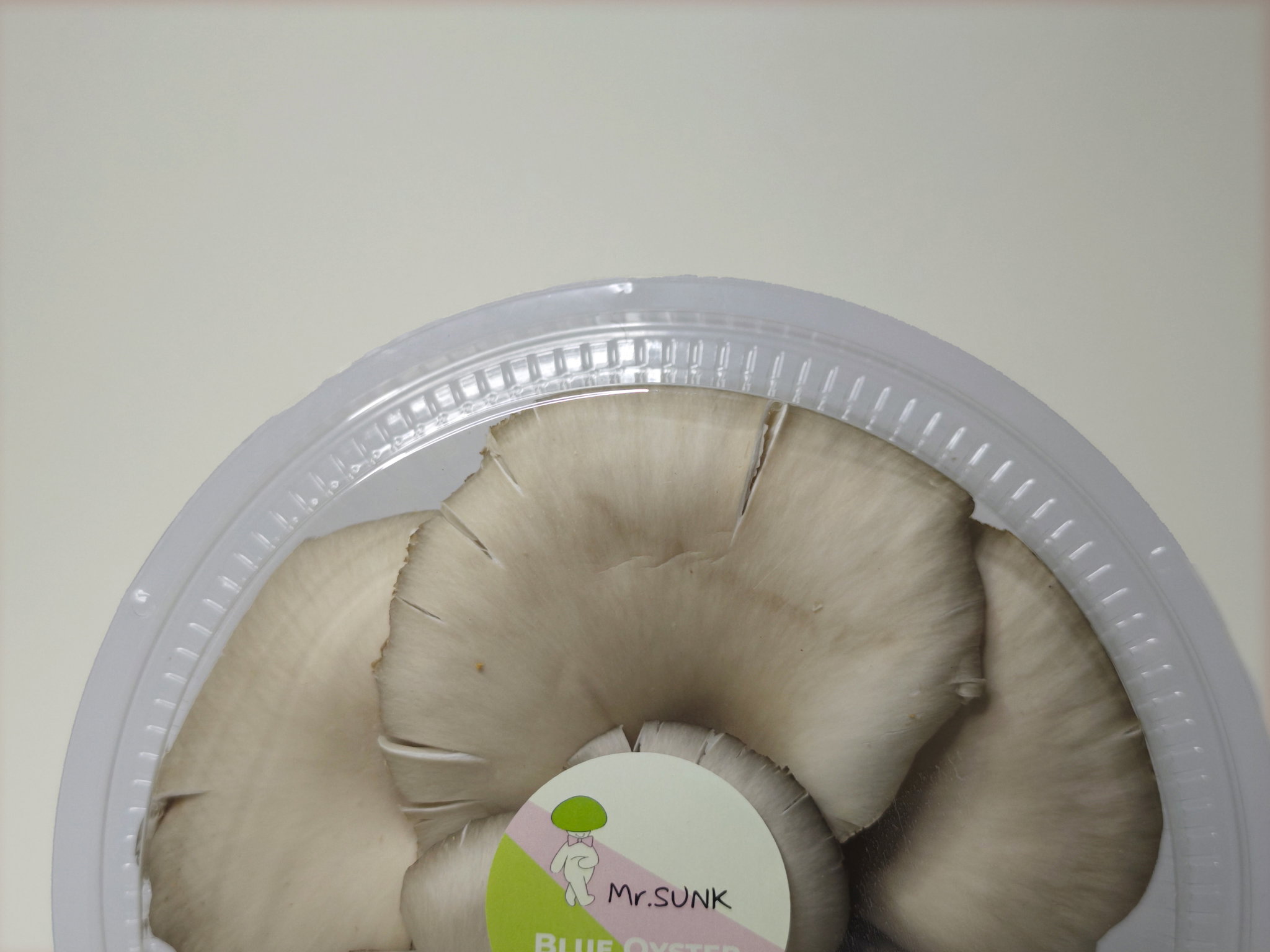 Blue Oyster Mushroom_1