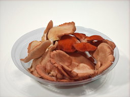 Pink Oyster Mushroom