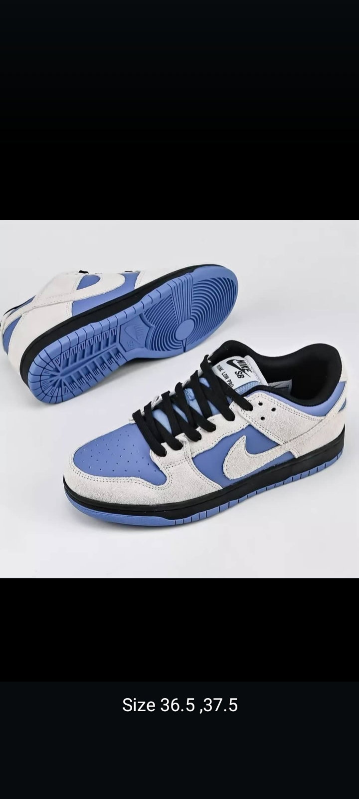Nike Sb Dunk Low Pro