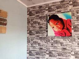 Canvases and portraits 
