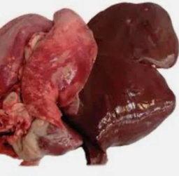 Mutton Liver set (Liver, Lungs & Heart)