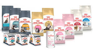 جبل الزيتون Pet Store_3