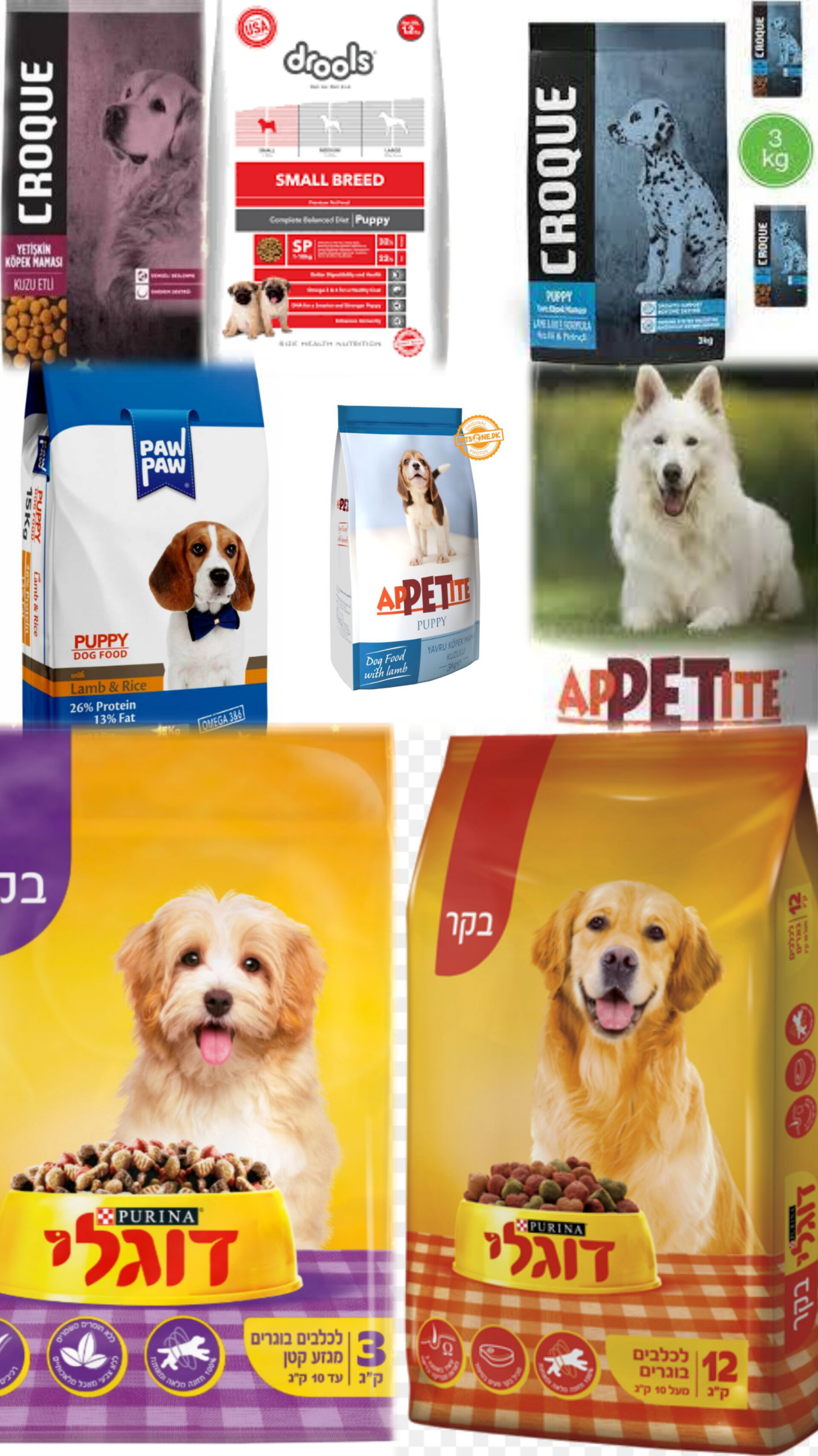 جبل الزيتون Pet Store_12