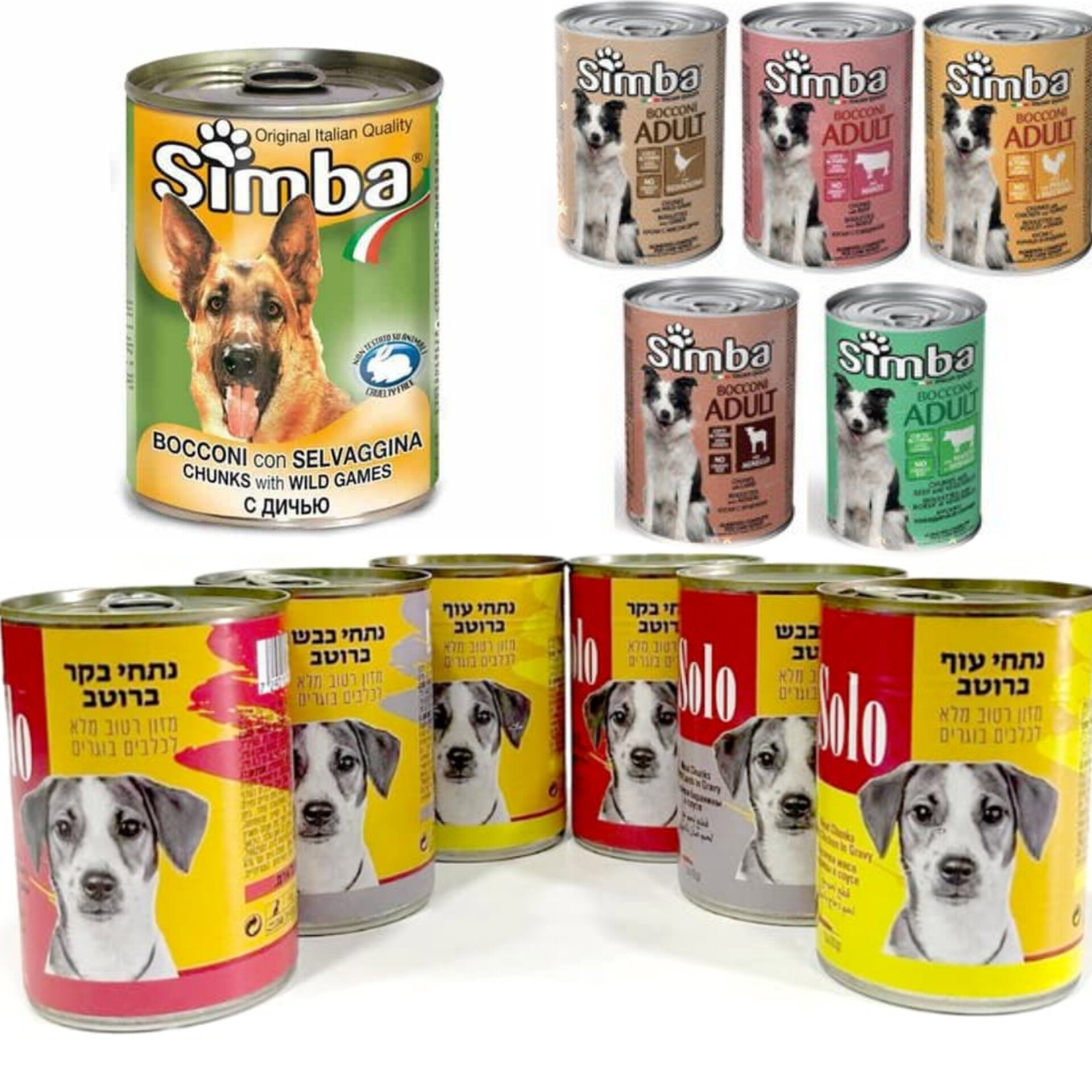 جبل الزيتون Pet Store_14