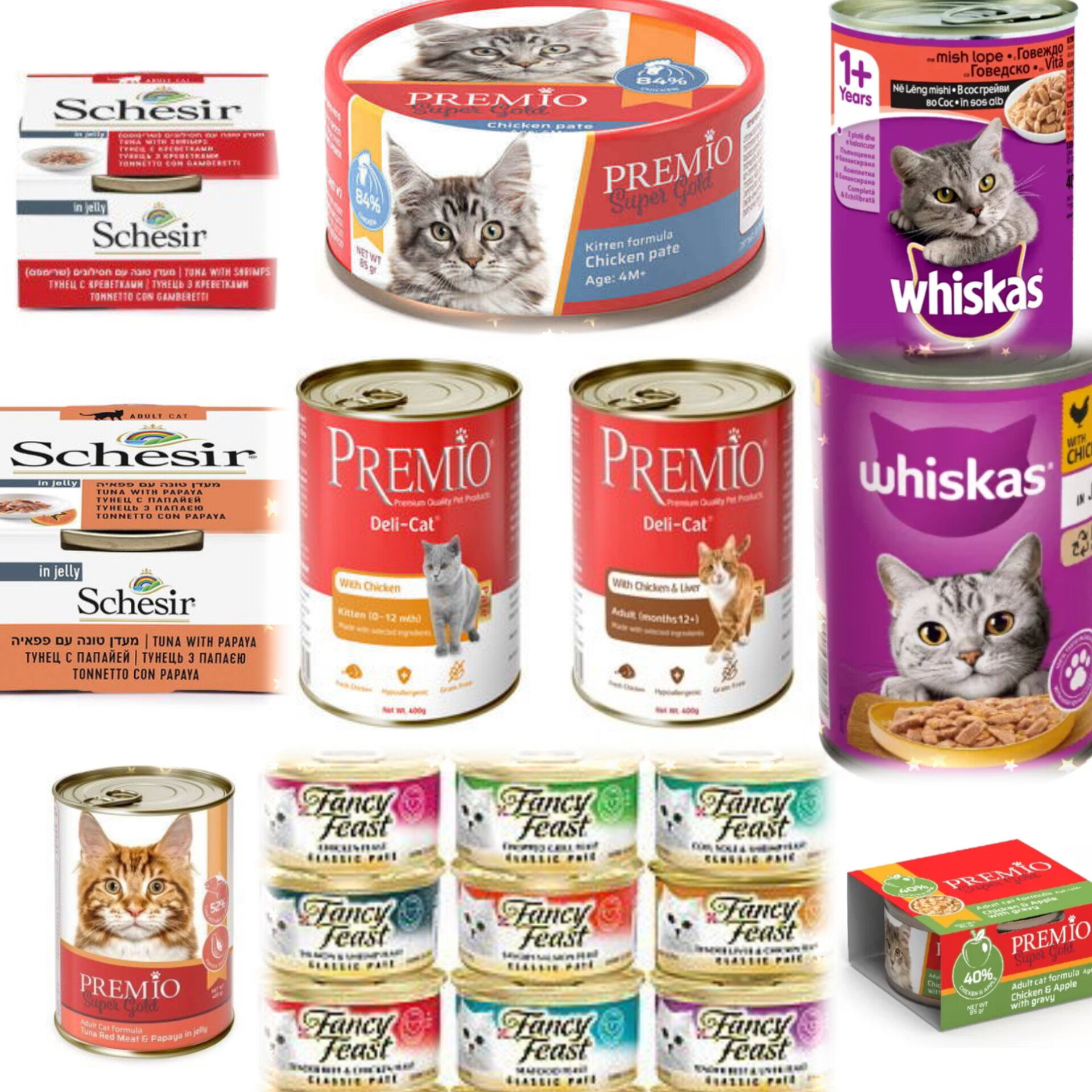 جبل الزيتون Pet Store_9