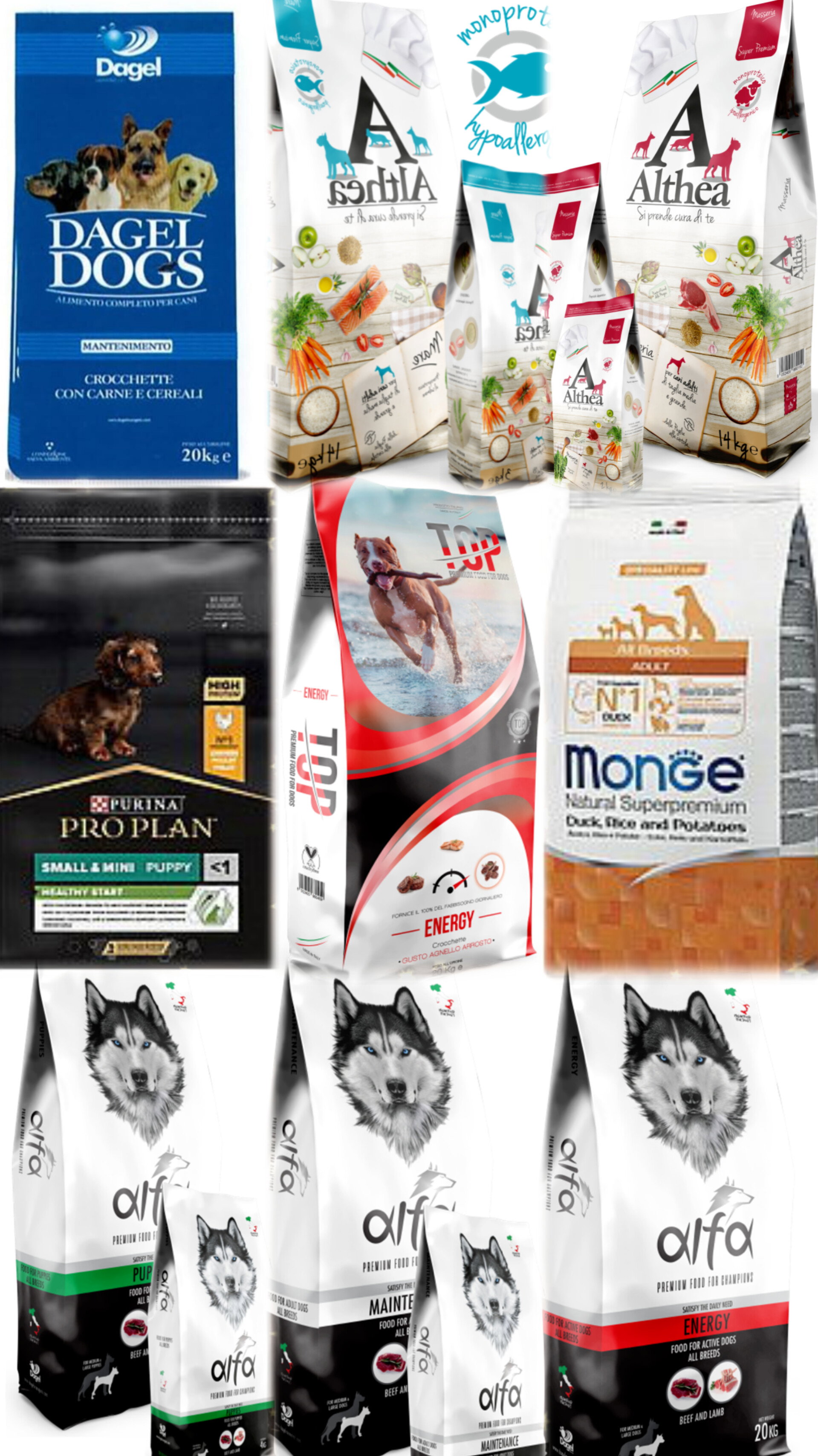 جبل الزيتون Pet Store_13