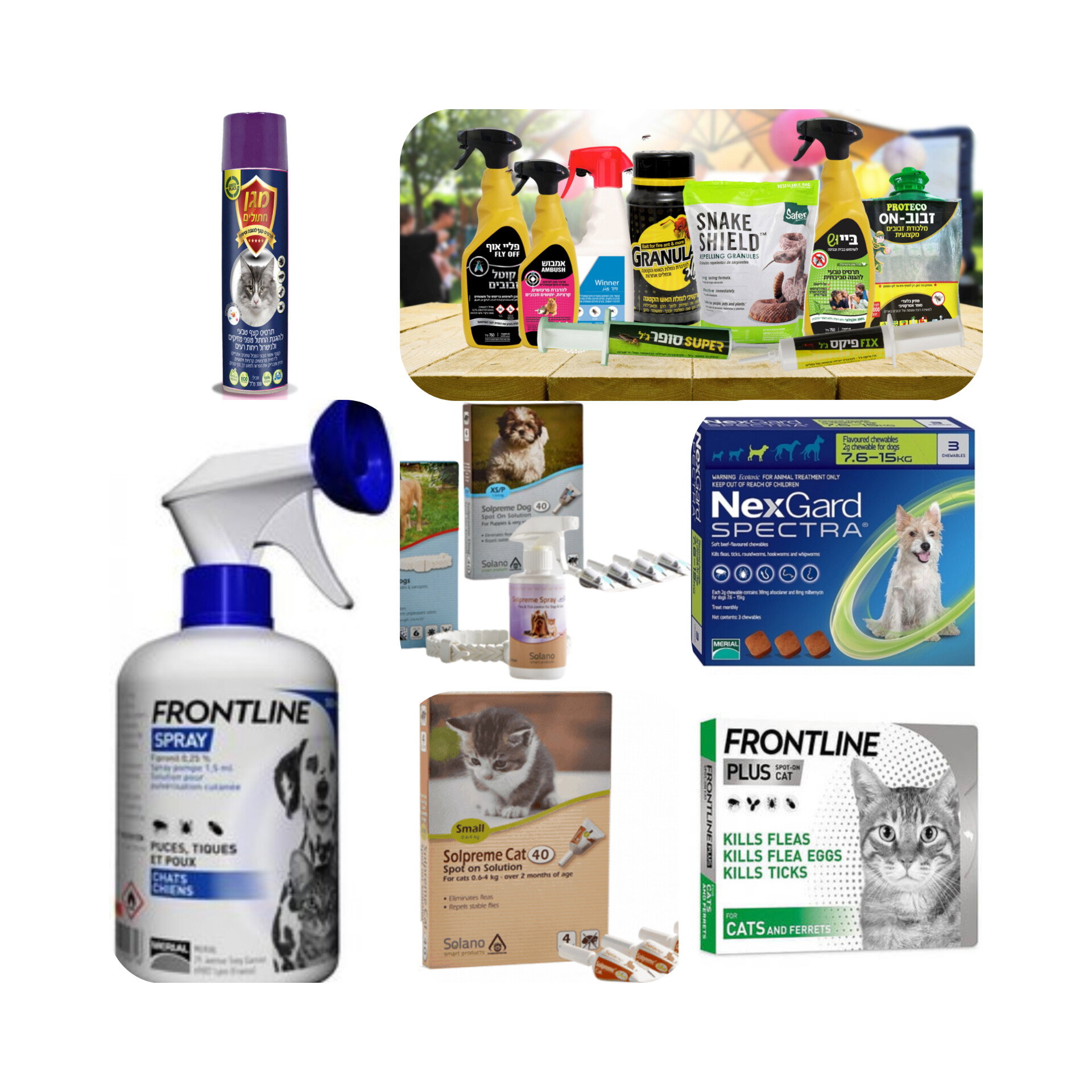 جبل الزيتون Pet Store_17