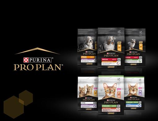 جبل الزيتون Pet Store_5