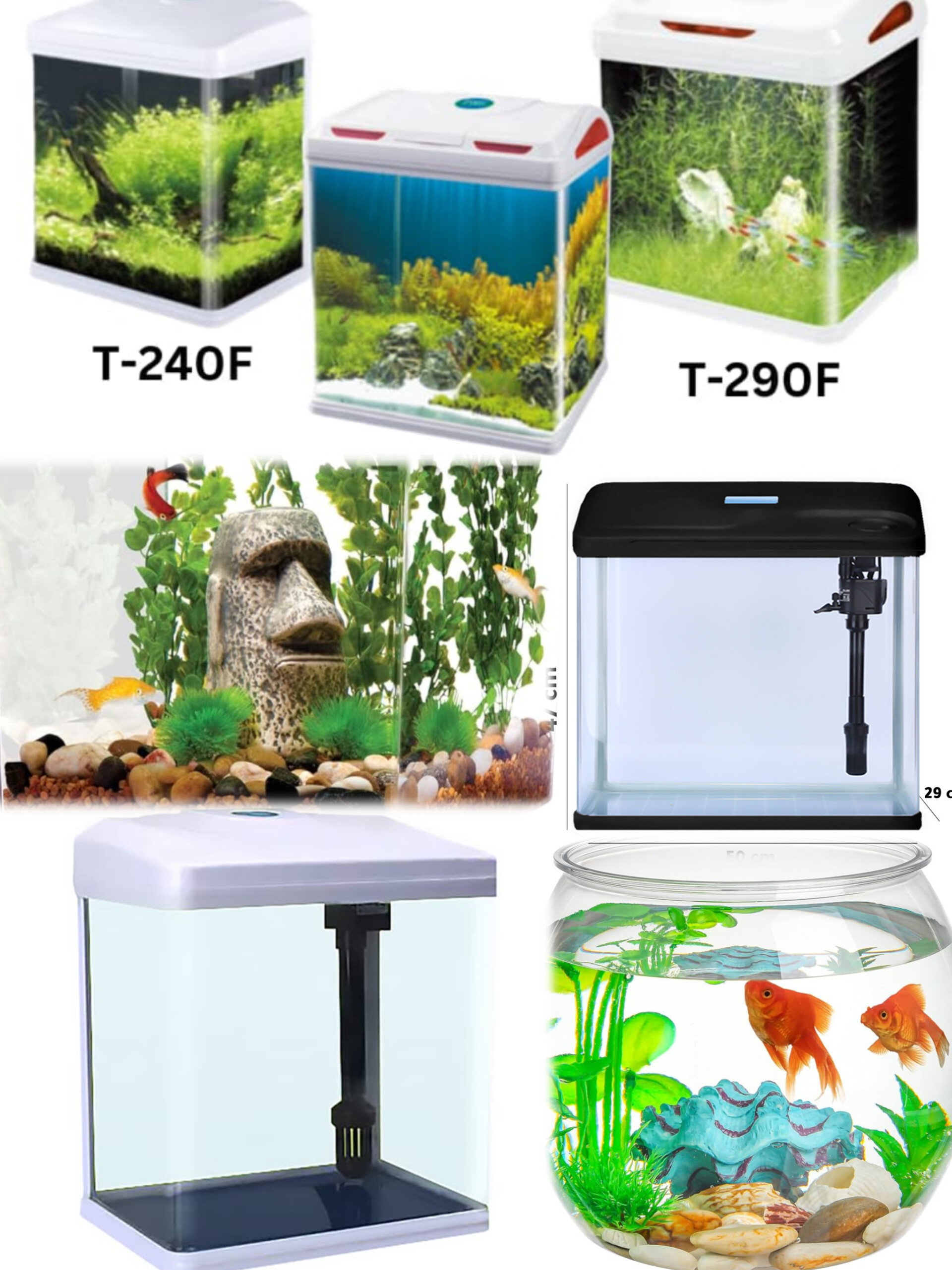 جبل الزيتون Pet Store_19