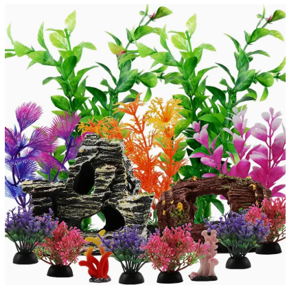 جبل الزيتون Pet Store_23