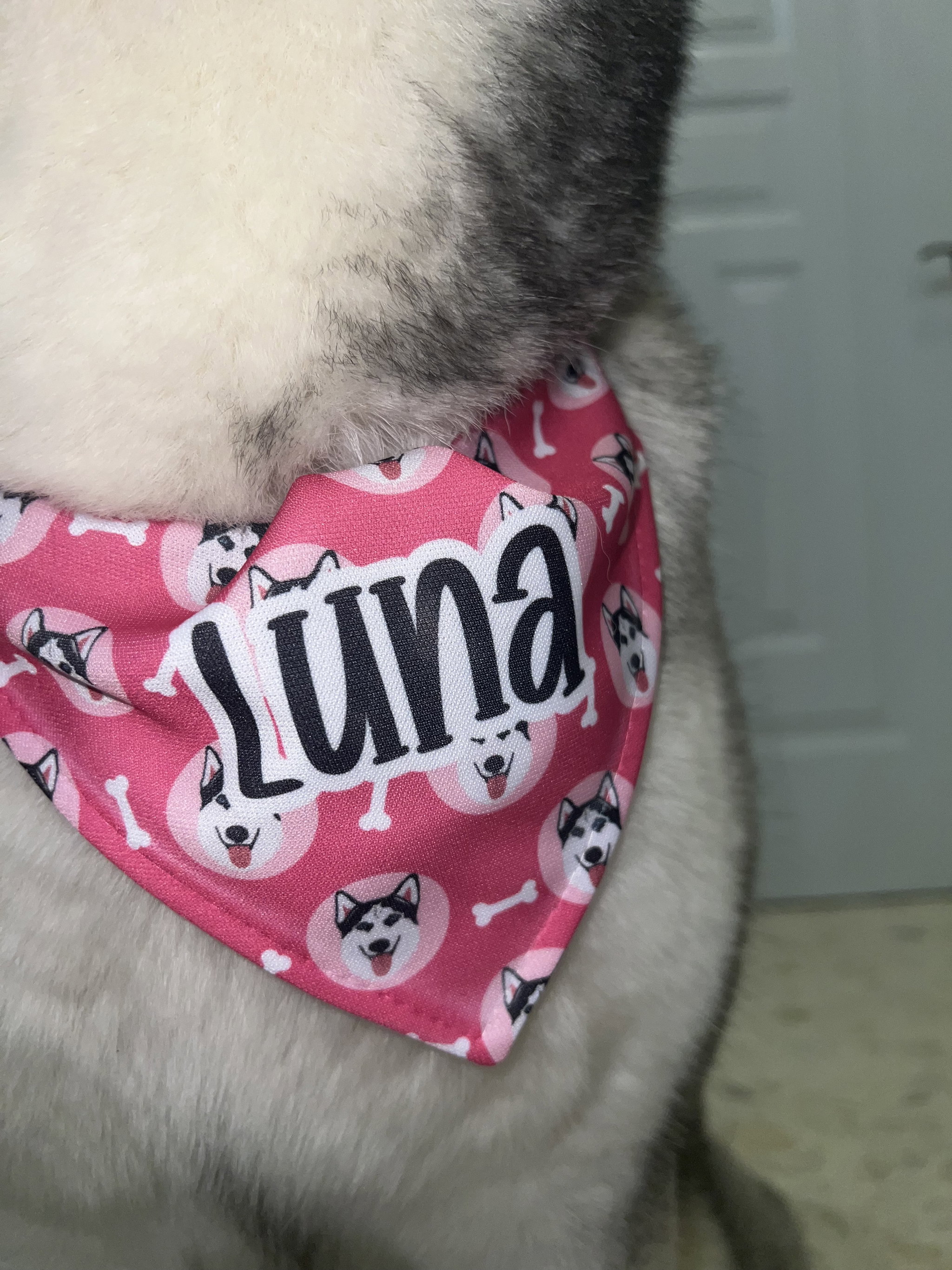 Collar bufanda personalizado_0