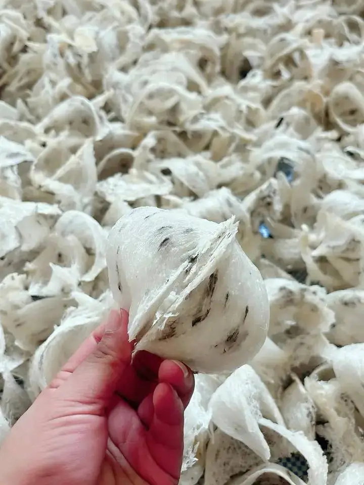 燕窝还没洗过轻羽毛 1KG