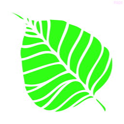 R926_Leaves Wall Stencil