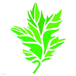 R967_Leaves Wall Stencil