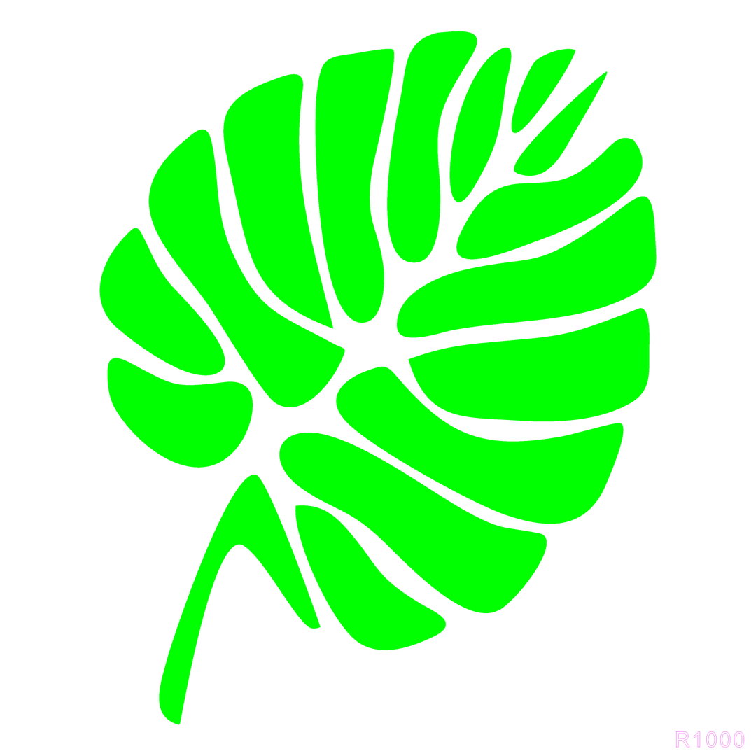 R1000_Leaves Wall Stencil
