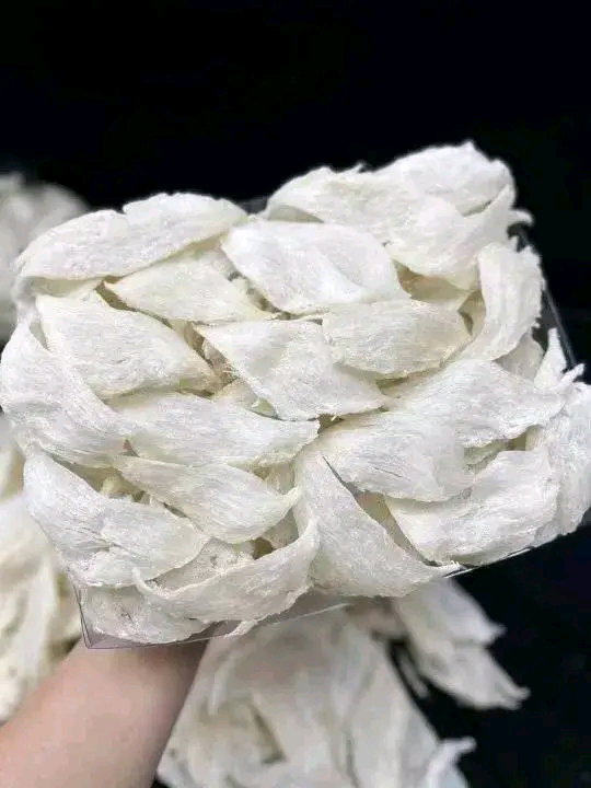 凯安或角燕窝 1KG _0