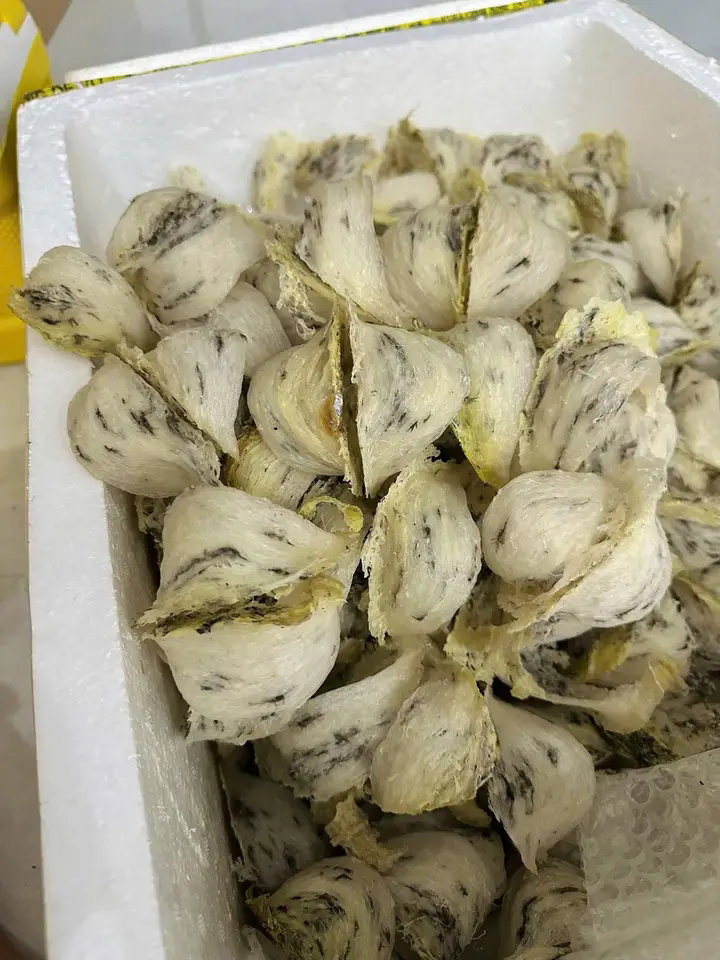 越南原料 1KG_0