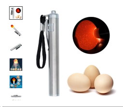Eggs Incubator / Hatcher