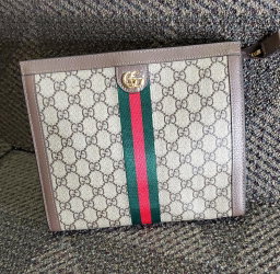 Ophidia Clutch- Gucci GG Supreme Canvas  