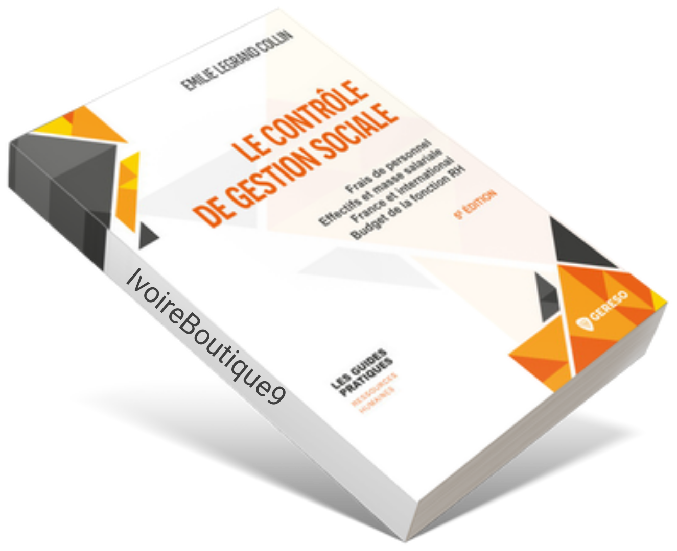 Le contrôle de gestion sociale _0
