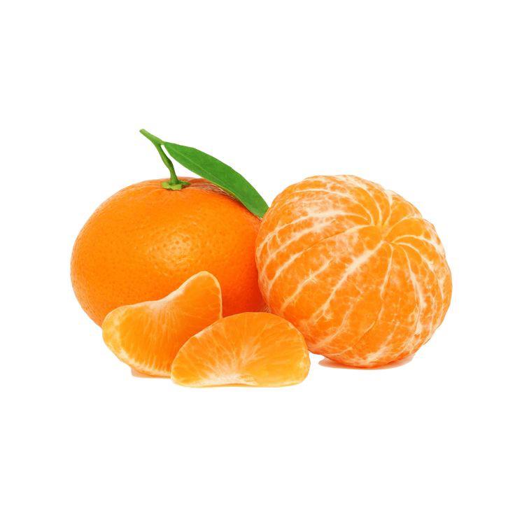 Tangerine Dream_0