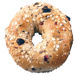 Cranberry Oat Bagels