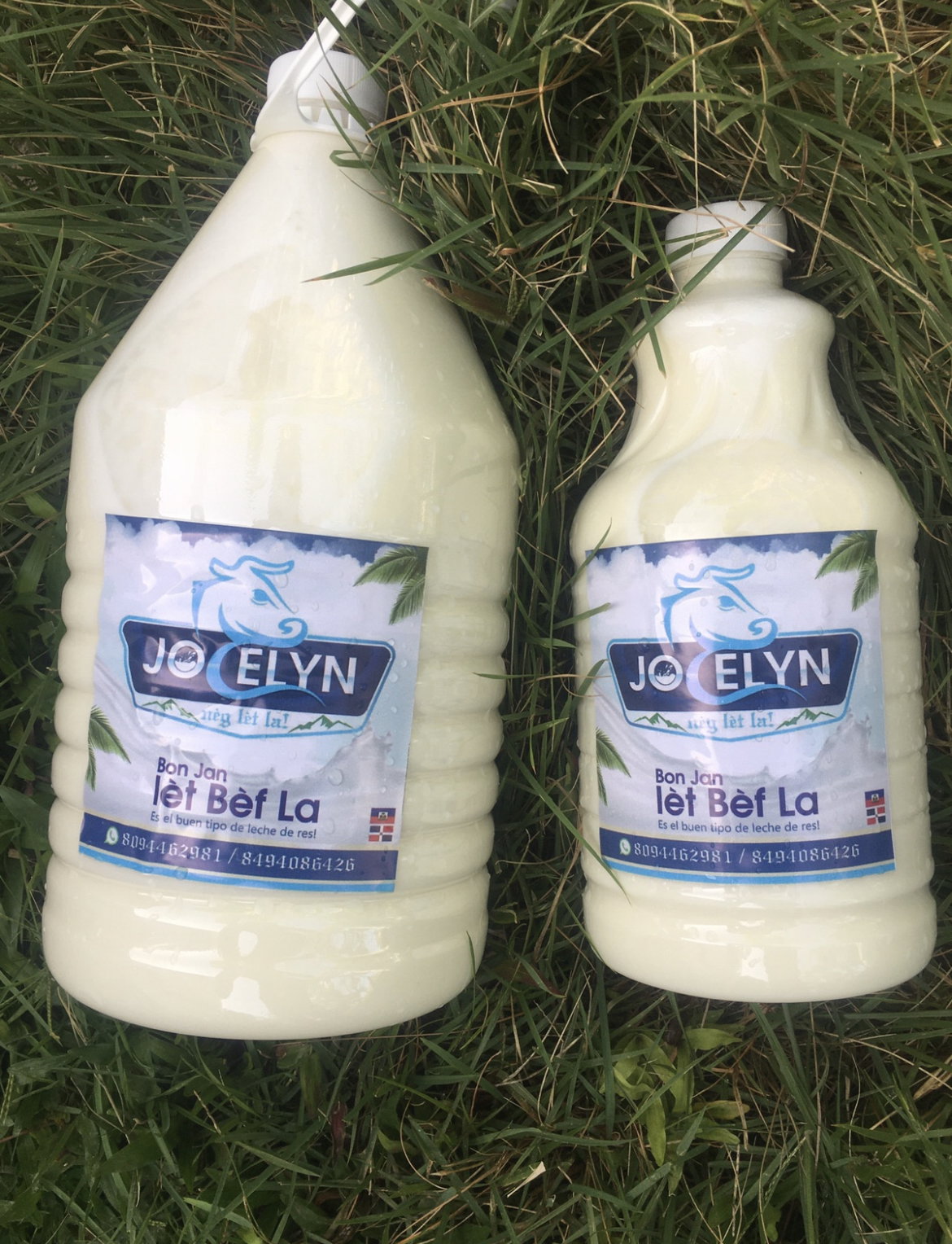 Milk _0