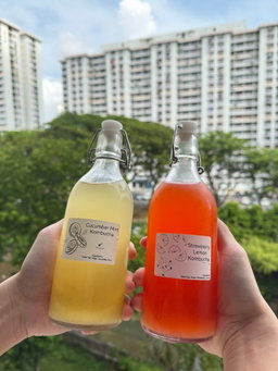 Kombucha (500ml)