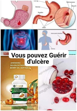 Berry oil (Anti-chimique, ulcère, hépatite, cataracte,120 comprimés)
