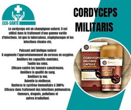 Excellent pour les poumons, les reins, le foie et le coeur. Stimule la performance sexuelle et le nombre de spermatozoïdes des hommes. Efficace dans le traitement des tumeurs bénignes et malignes. Inhibe la propagation des organismes pathogènes. Ravive les cellules mortes, nourrit la cellule et protège la cellule. Régule la pression artérielle et la glycémie.
