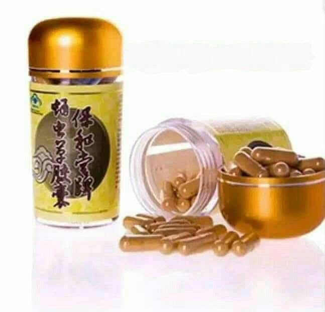 Excellent pour les poumons, les reins, le foie et le coeur. Stimule la performance sexuelle et le nombre de spermatozoïdes des hommes. Efficace dans le traitement des tumeurs bénignes et malignes. Inhibe la propagation des organismes pathogènes. Ravive les cellules mortes, nourrit la cellule et protège la cellule. Régule la pression artérielle et la glycémie._7