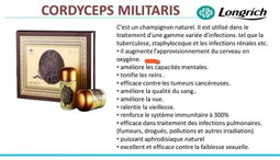 Excellent pour les poumons, les reins, le foie et le coeur. Stimule la performance sexuelle et le nombre de spermatozoïdes des hommes. Efficace dans le traitement des tumeurs bénignes et malignes. Inhibe la propagation des organismes pathogènes. Ravive les cellules mortes, nourrit la cellule et protège la cellule. Régule la pression artérielle et la glycémie.