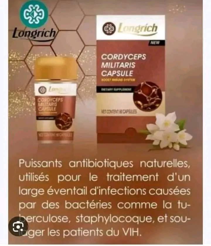 Excellent pour les poumons, les reins, le foie et le coeur. Stimule la performance sexuelle et le nombre de spermatozoïdes des hommes. Efficace dans le traitement des tumeurs bénignes et malignes. Inhibe la propagation des organismes pathogènes. Ravive les cellules mortes, nourrit la cellule et protège la cellule. Régule la pression artérielle et la glycémie._2