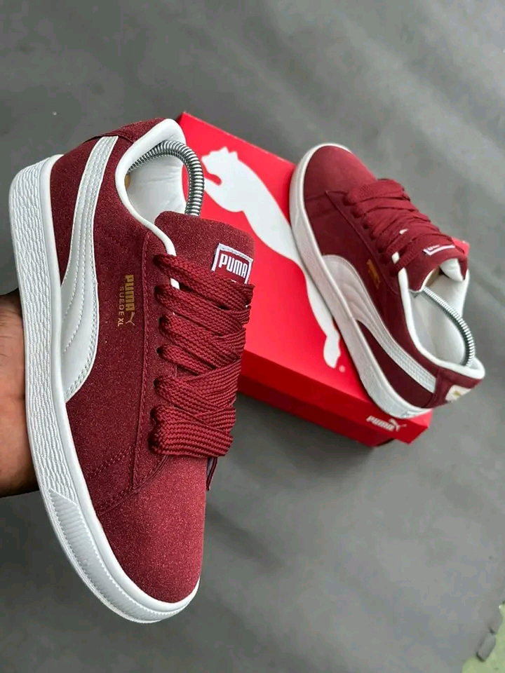PUMA_3