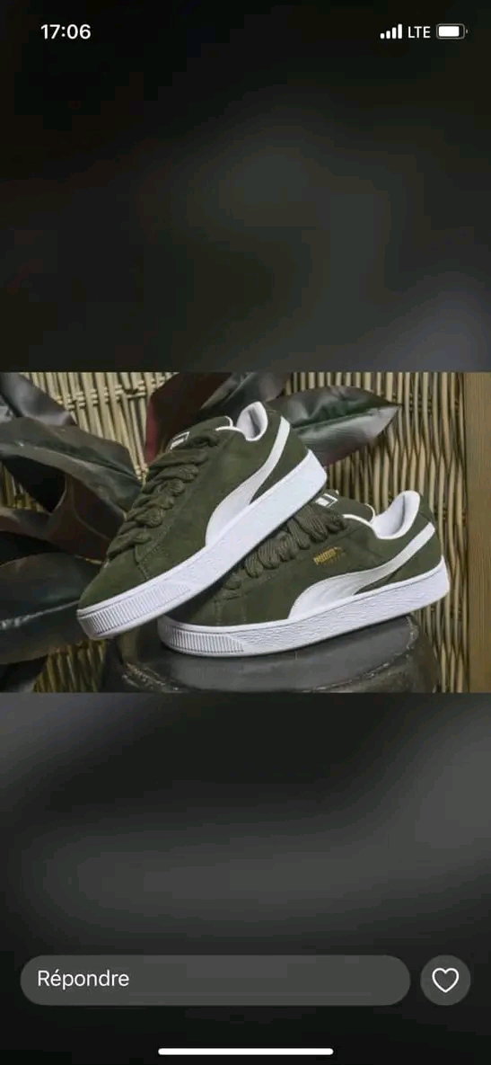 PUMA_2