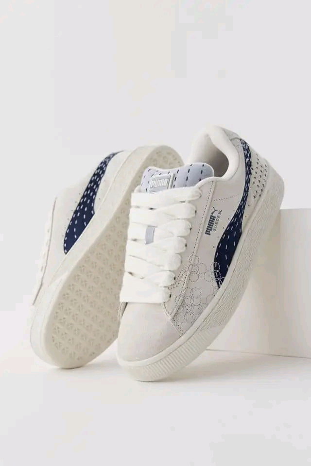 PUMA_1