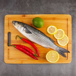 Fish (The Fish Farmer)ππ