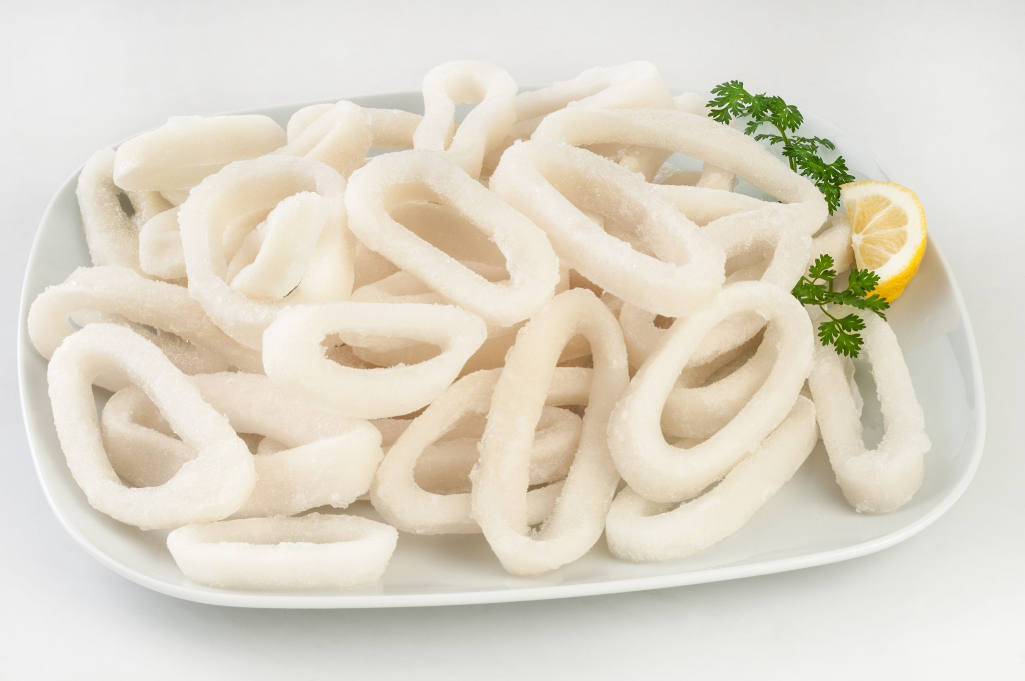 Squid Ring (1 kg) _0