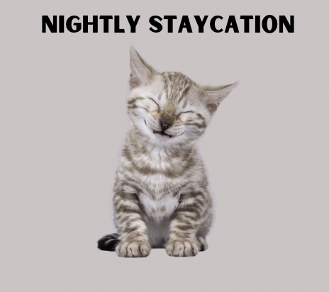 Fur Baby Staycation (Nightly)_0
