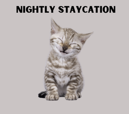 Cat Staycation
