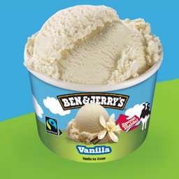 Vanilla Ice Cream (100ml)