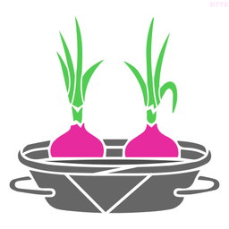 R778_Onion Growth Wall Stencil